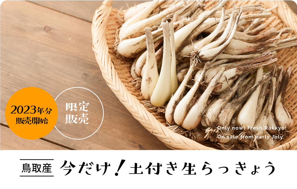朝採れ直送「土付き生らっきょう」 予約開始しました!!