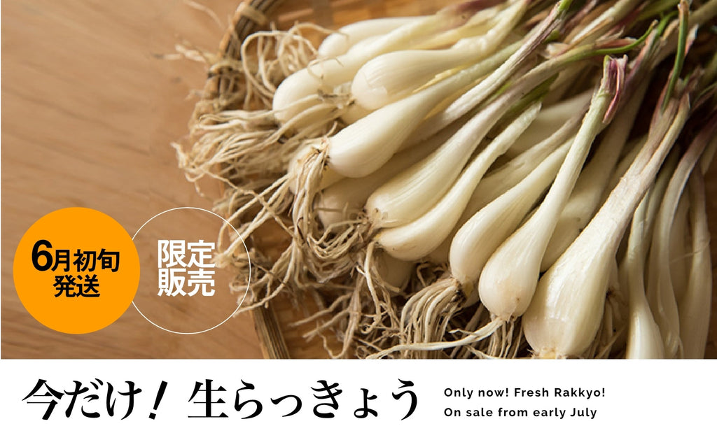 2025年 新物らっきょう受付けを開始します!!