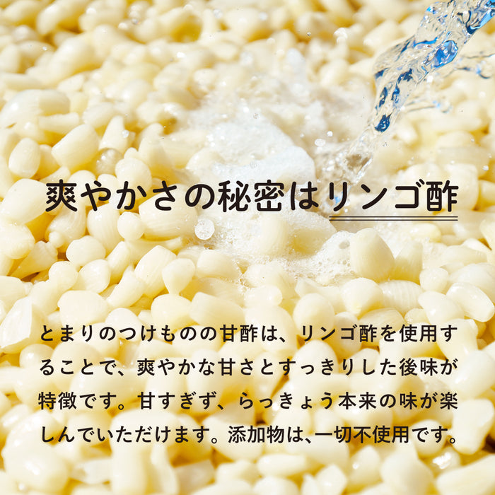 鳥取県産 甘酢らっきょう