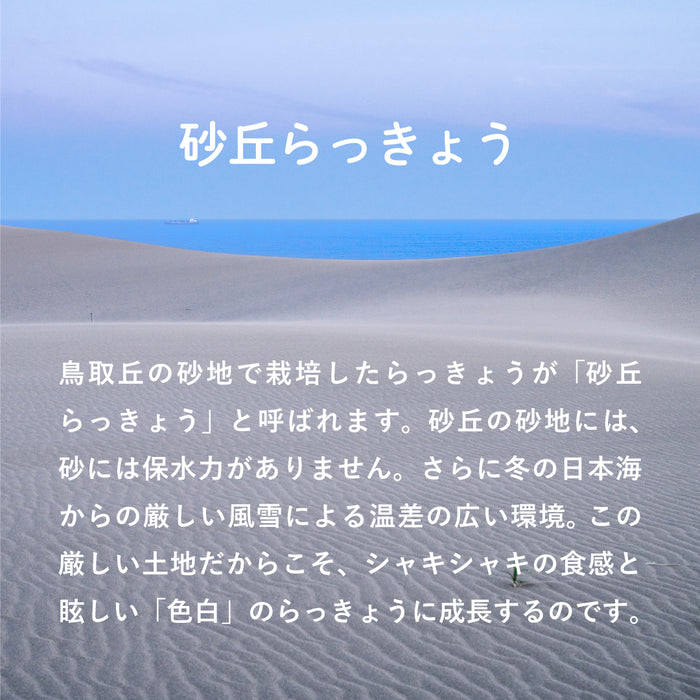 鳥取県産 砂丘らっきょう三味セット
