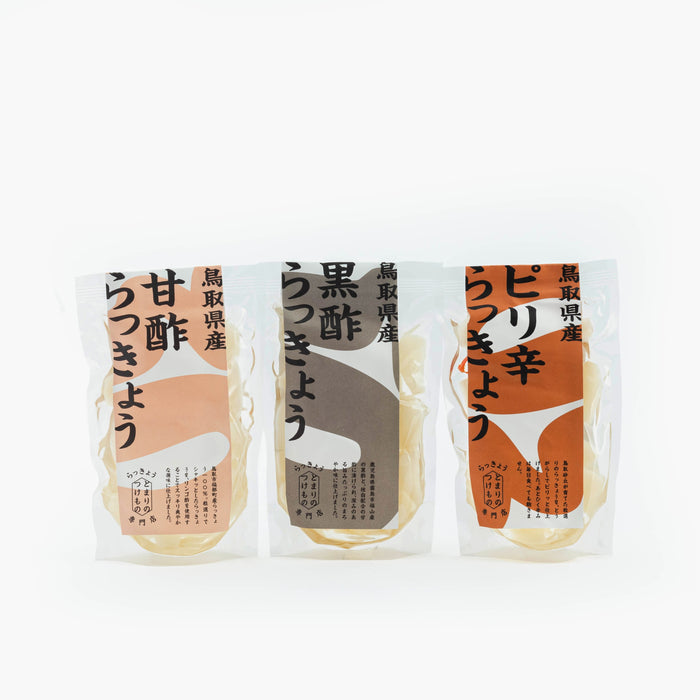 鳥取県産 砂丘らっきょう三味セット